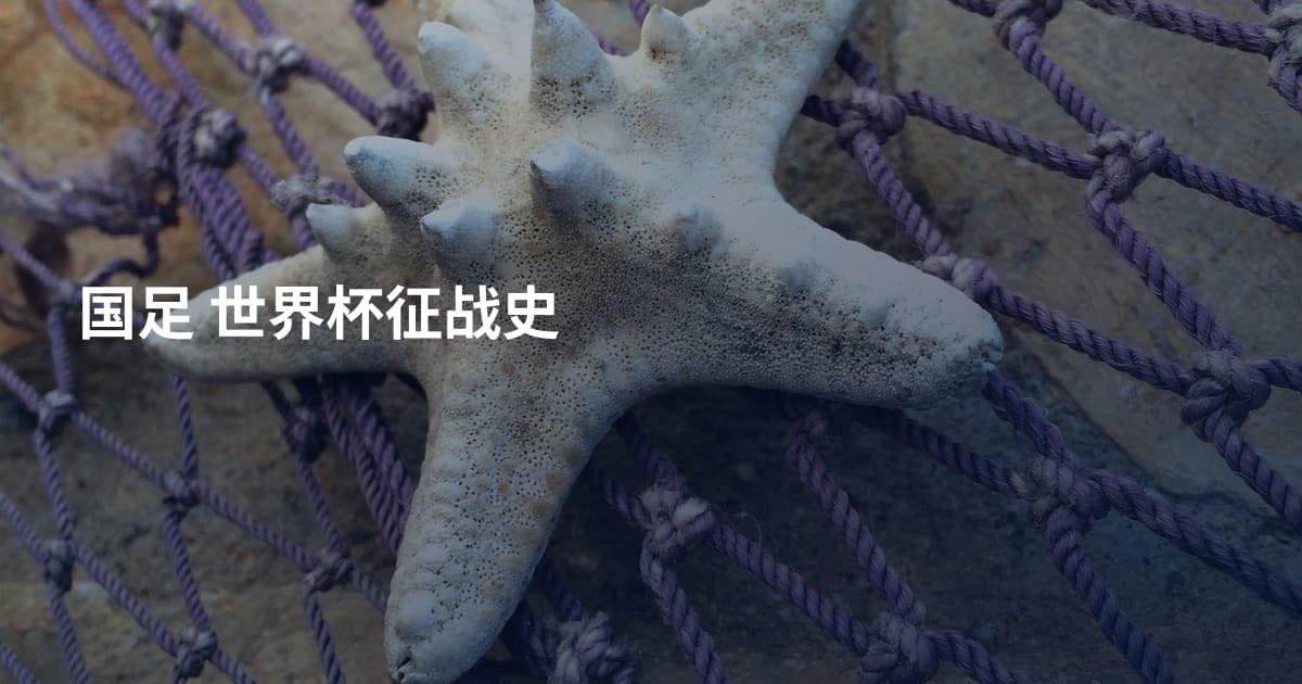 国足 世界杯征战史
