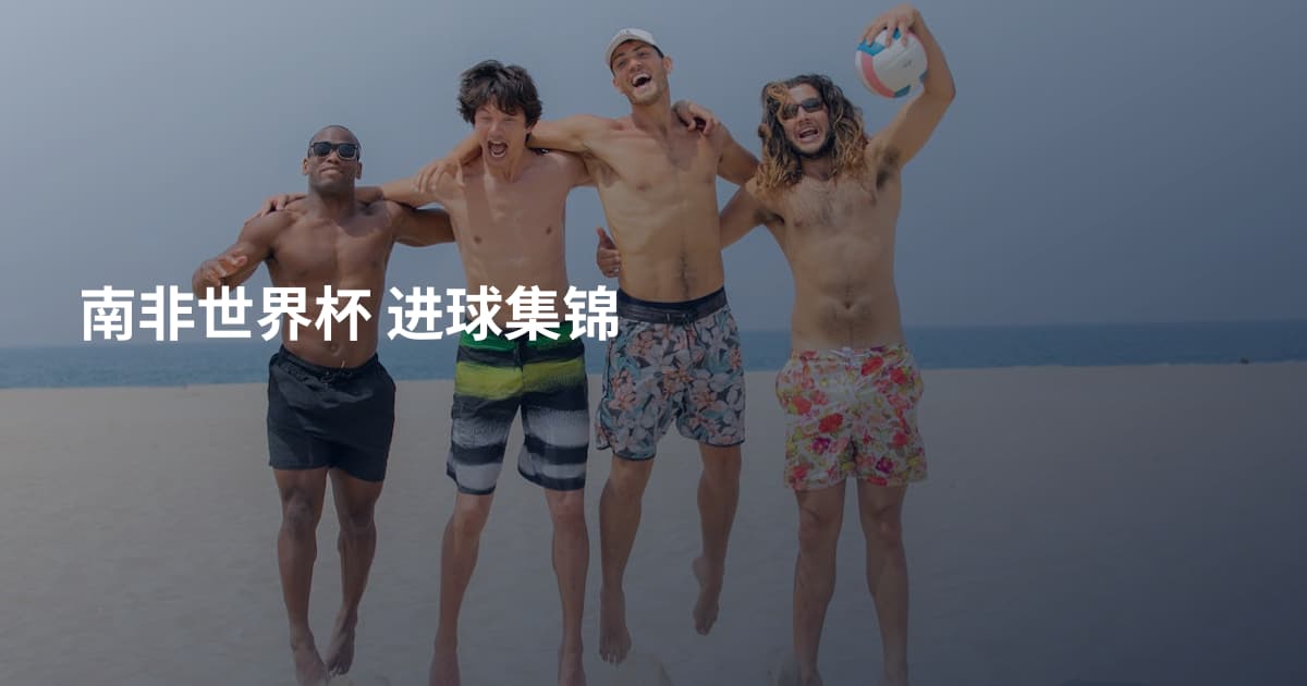南非世界杯 进球集锦