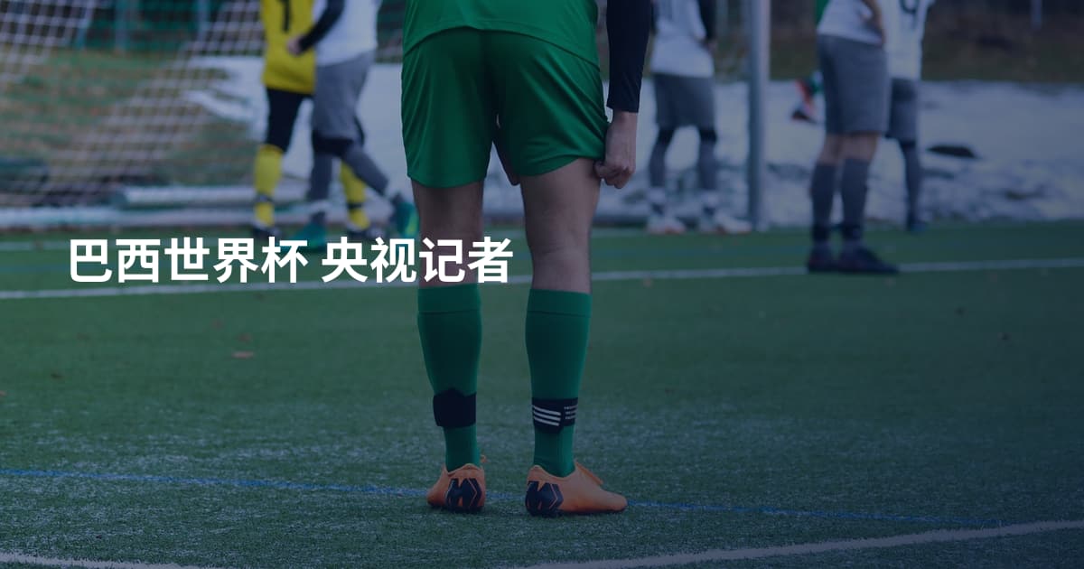 巴西世界杯 央视记者