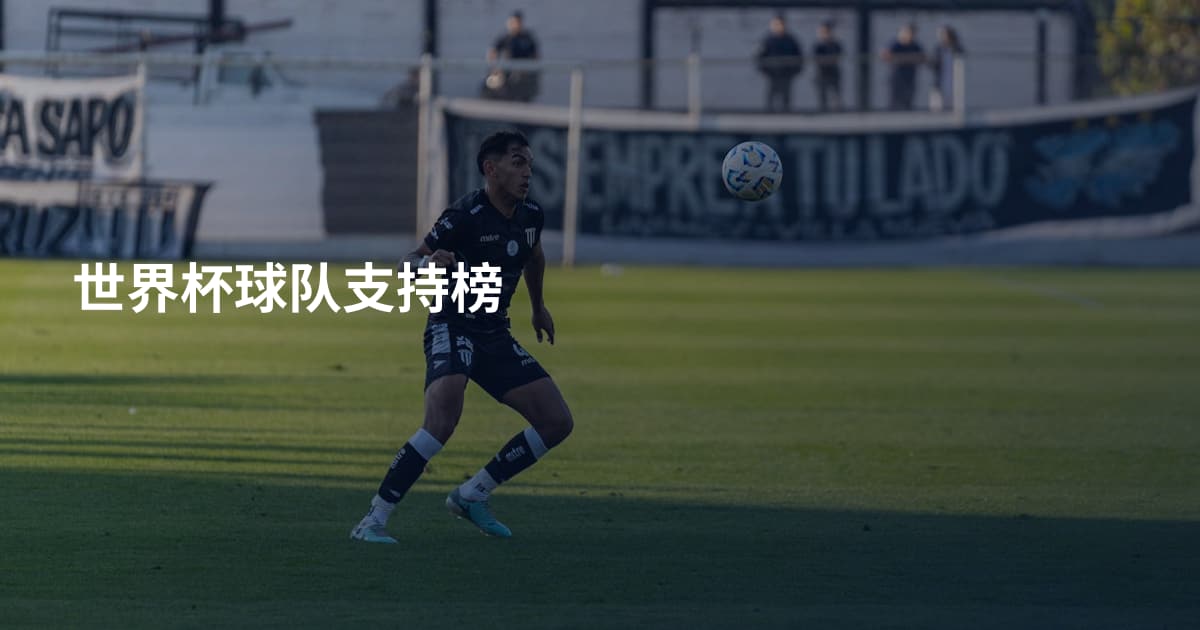 世界杯球队支持榜
