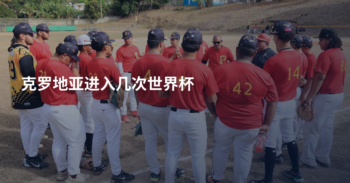 克罗地亚进入几次世界杯