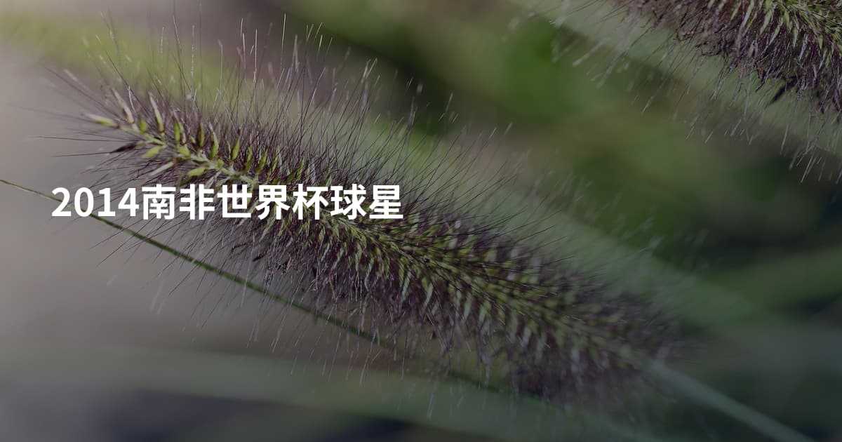 2014南非世界杯球星