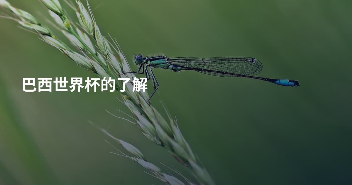 巴西世界杯的了解