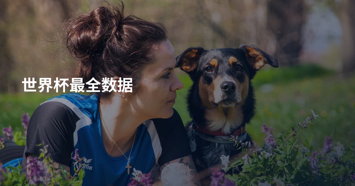 世界杯最全数据