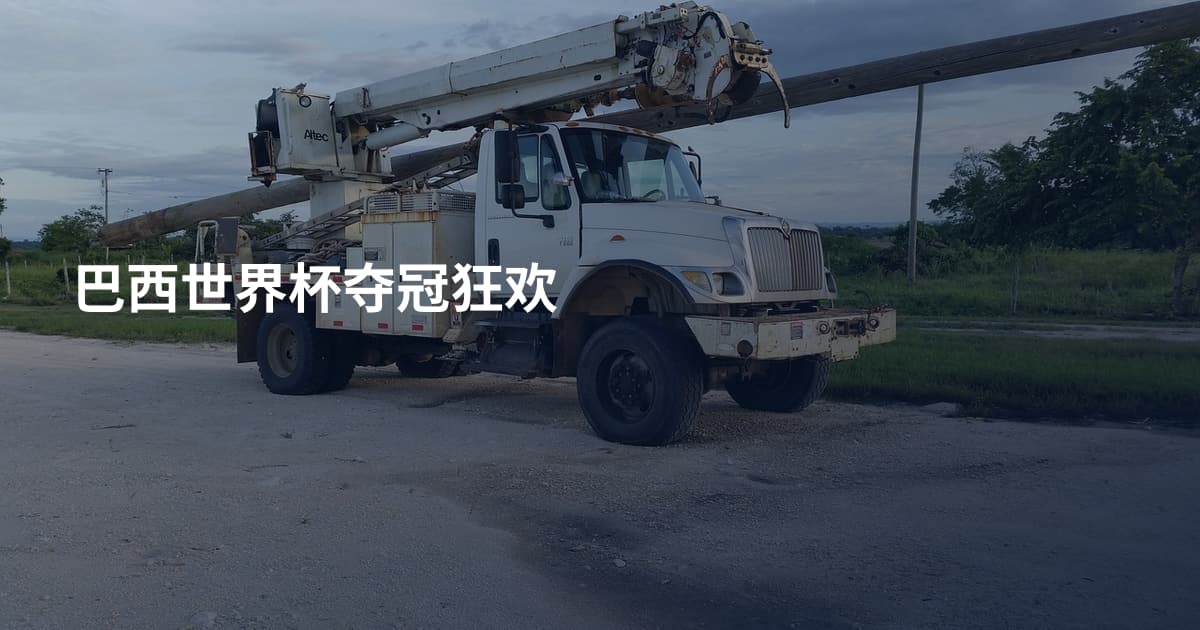 巴西世界杯夺冠狂欢