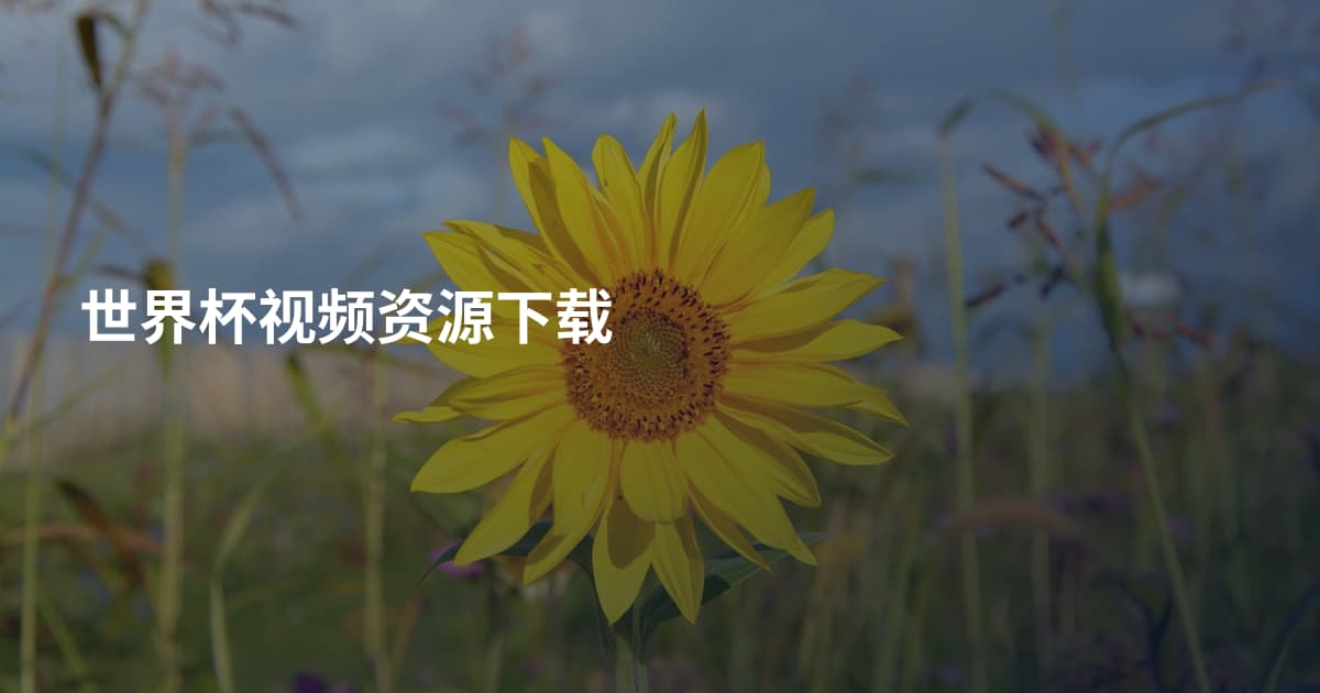 世界杯视频资源下载
