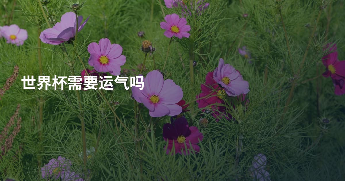 世界杯需要运气吗