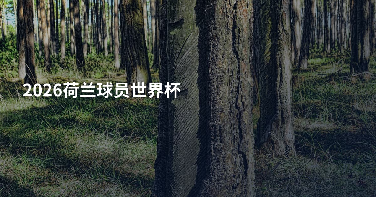2026荷兰球员世界杯
