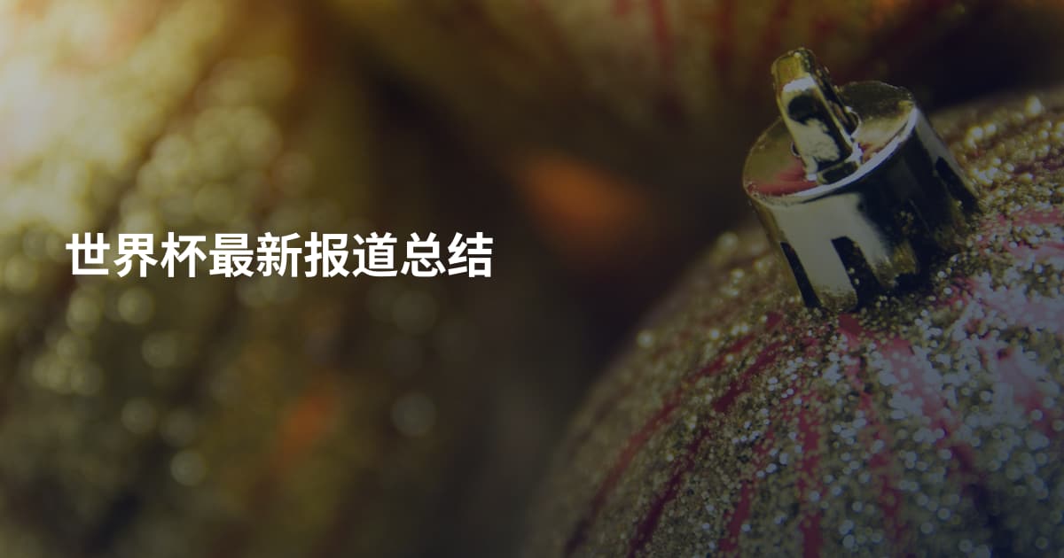世界杯最新报道总结