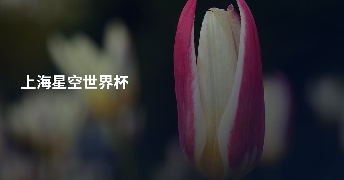 上海星空世界杯