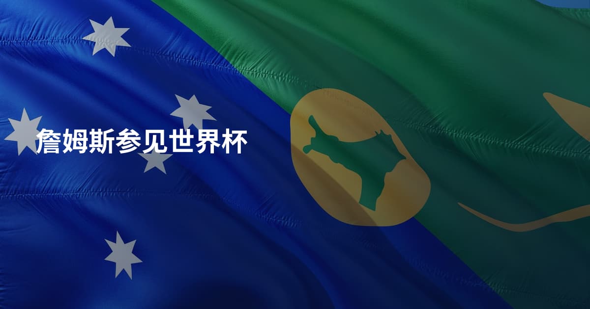 詹姆斯参见世界杯