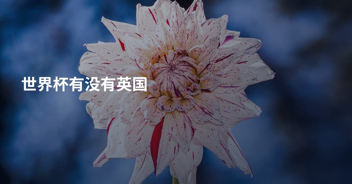 世界杯有没有英国