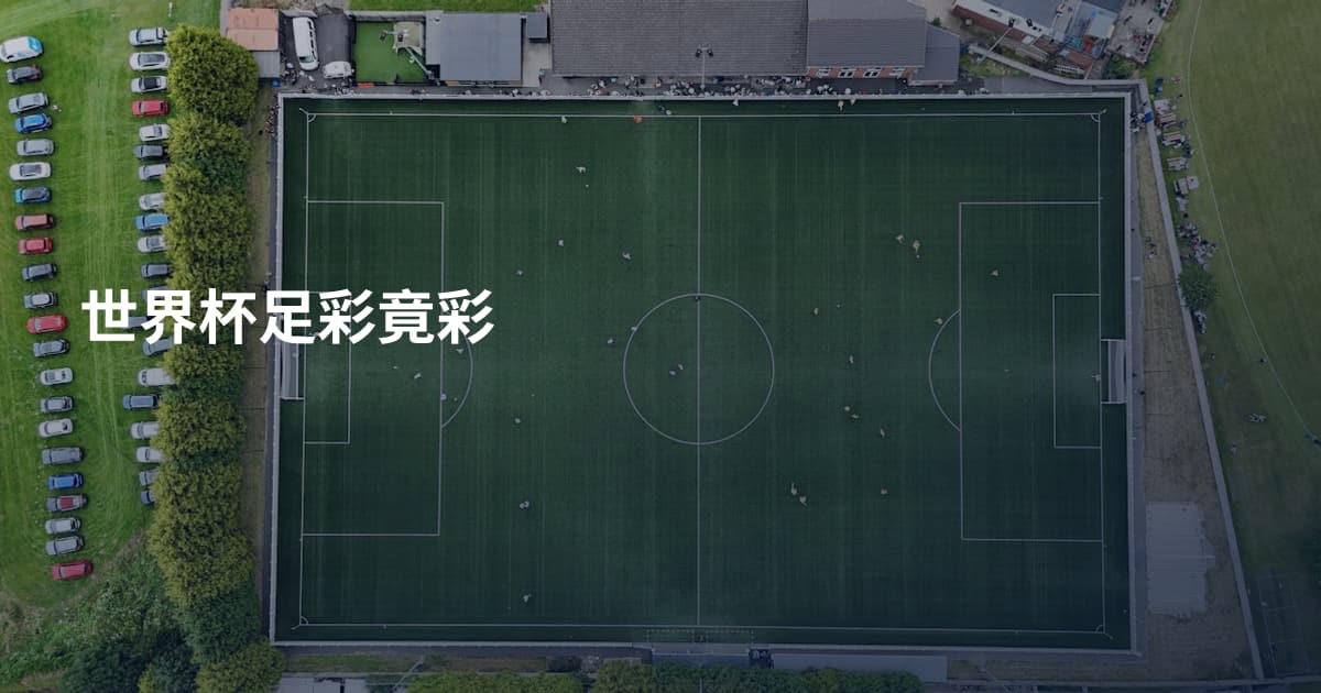 世界杯足彩竟彩