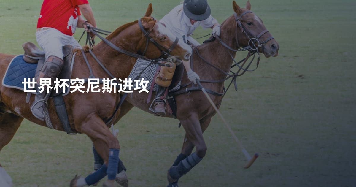 世界杯突尼斯进攻