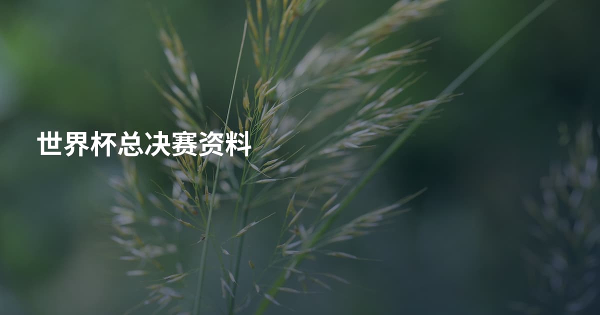 世界杯总决赛资料