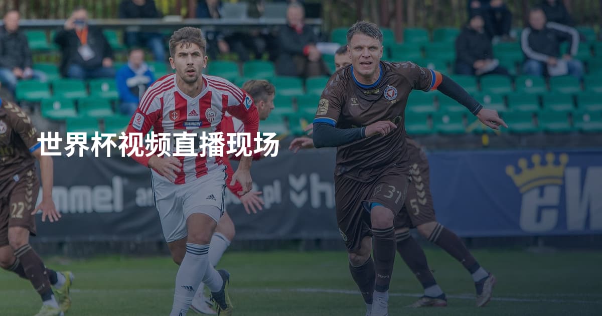世界杯视频直播现场