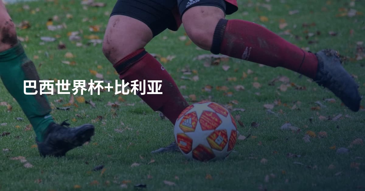 巴西世界杯+比利亚
