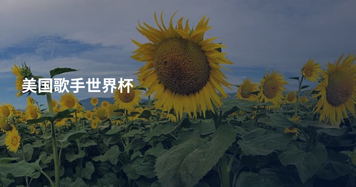 美国歌手世界杯