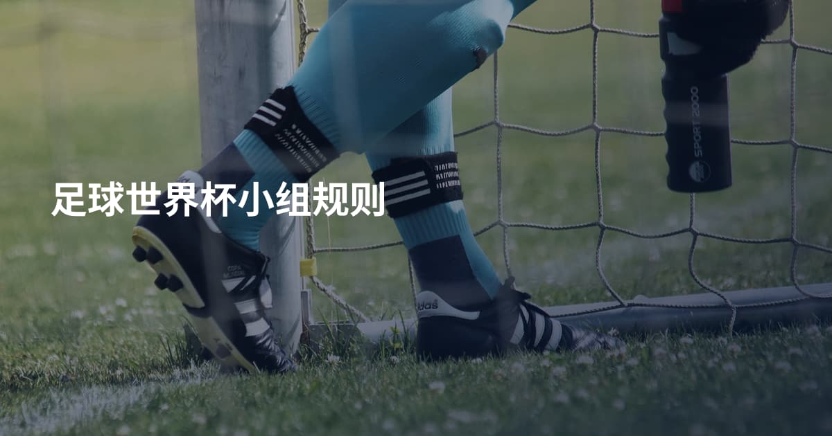 足球世界杯小组规则