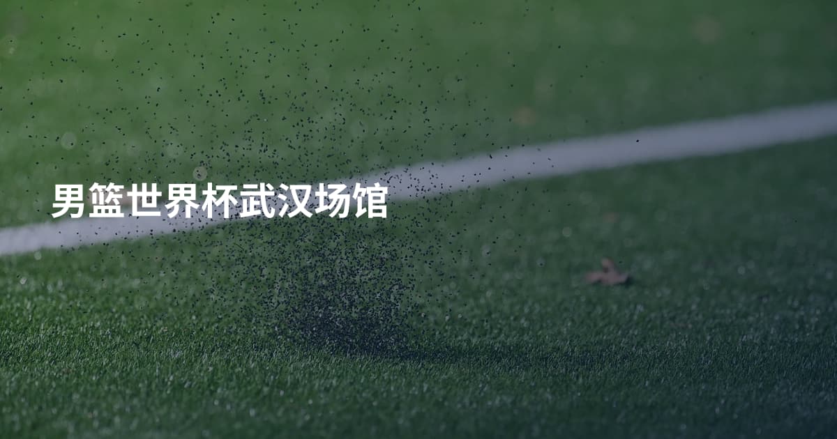 男篮世界杯武汉场馆