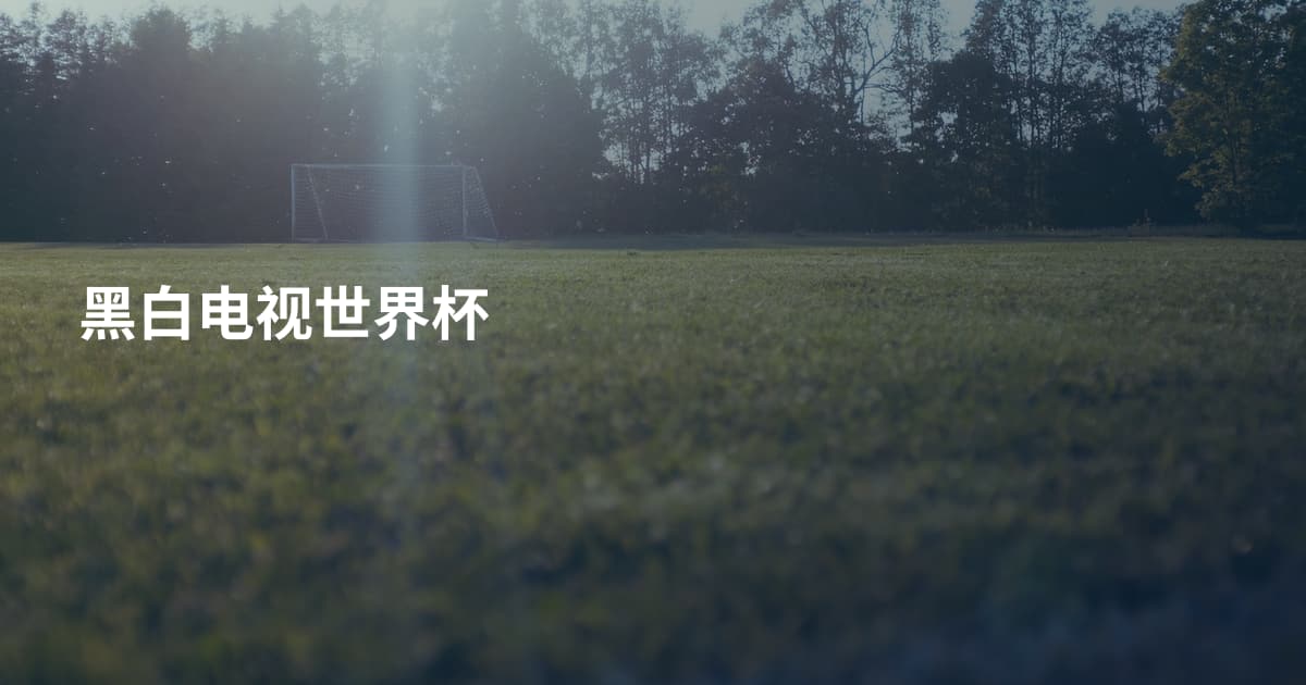 黑白电视世界杯