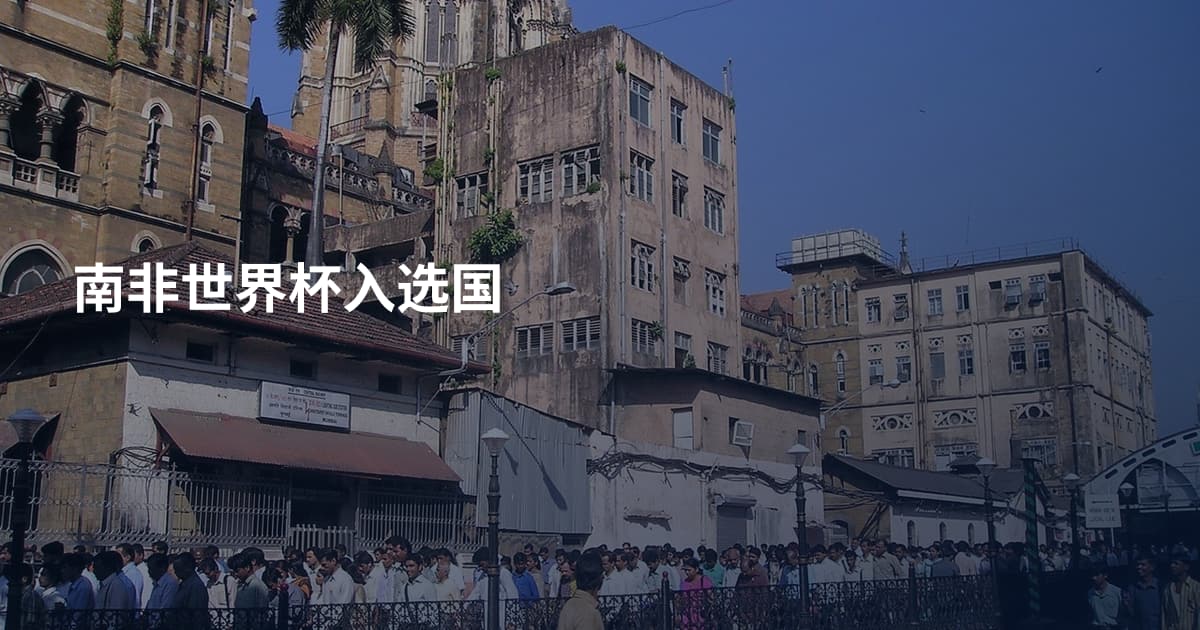 南非世界杯入选国