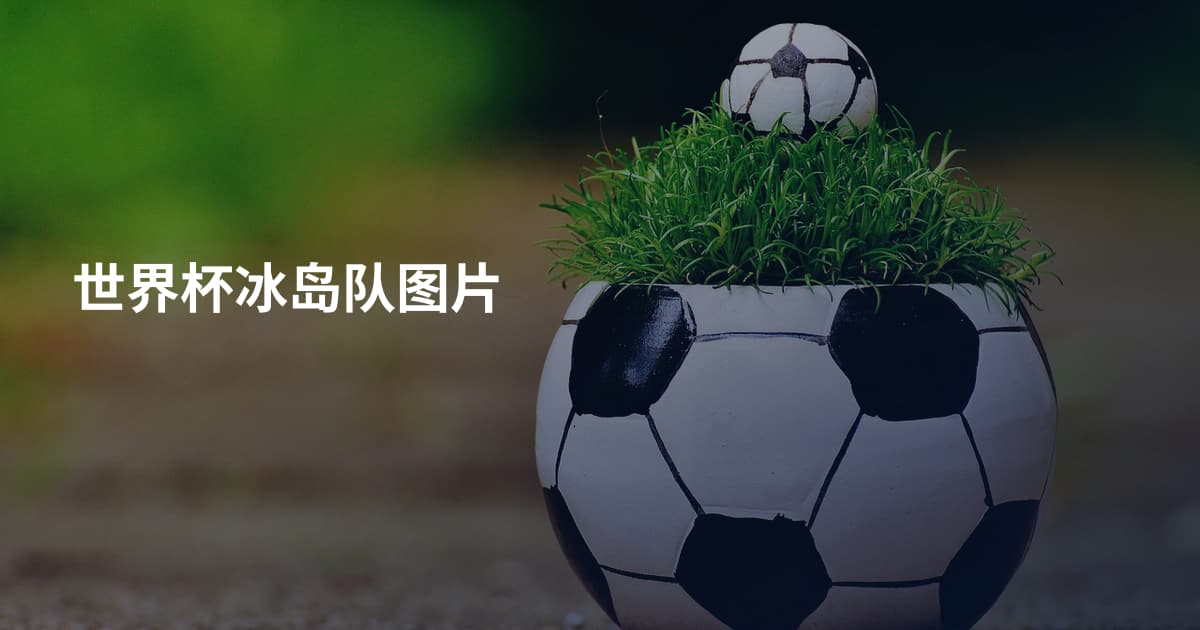 世界杯冰岛队图片