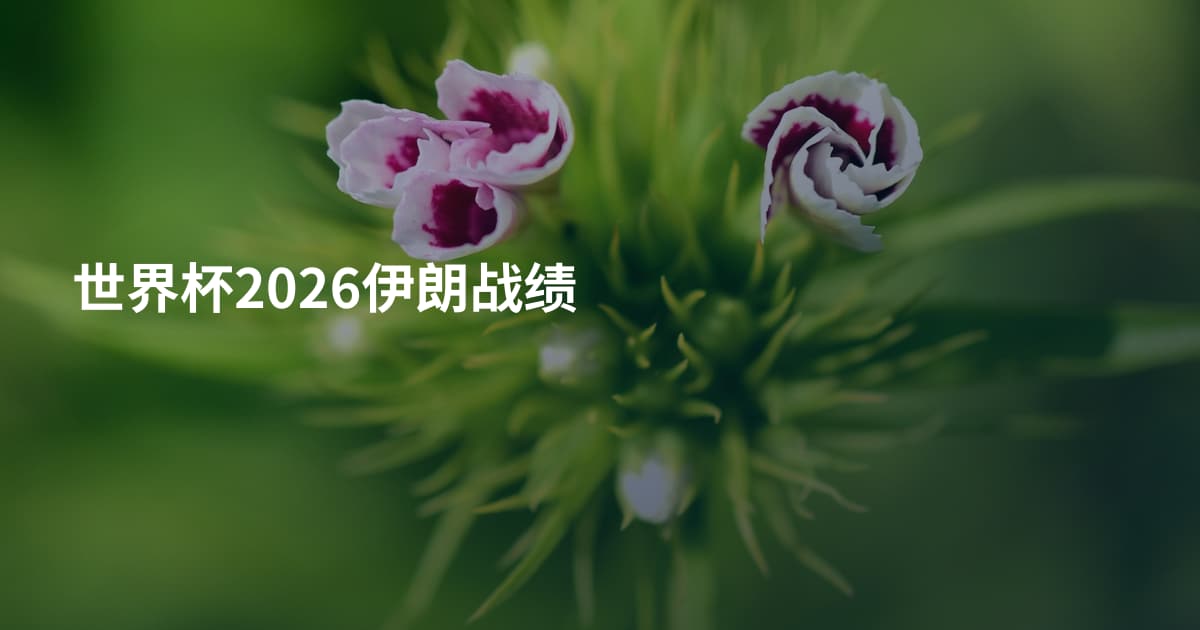 世界杯2026伊朗战绩