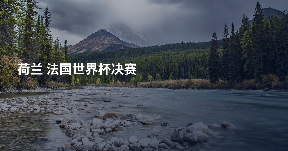 荷兰 法国世界杯决赛