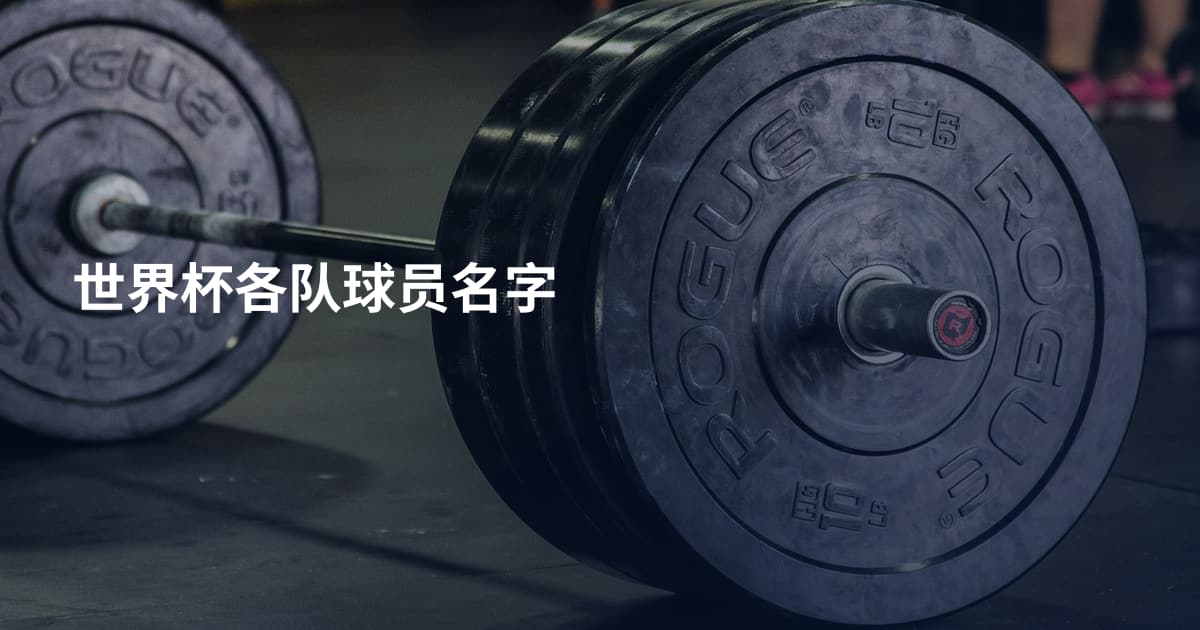 世界杯各队球员名字