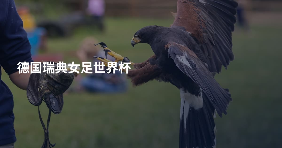 德国瑞典女足世界杯