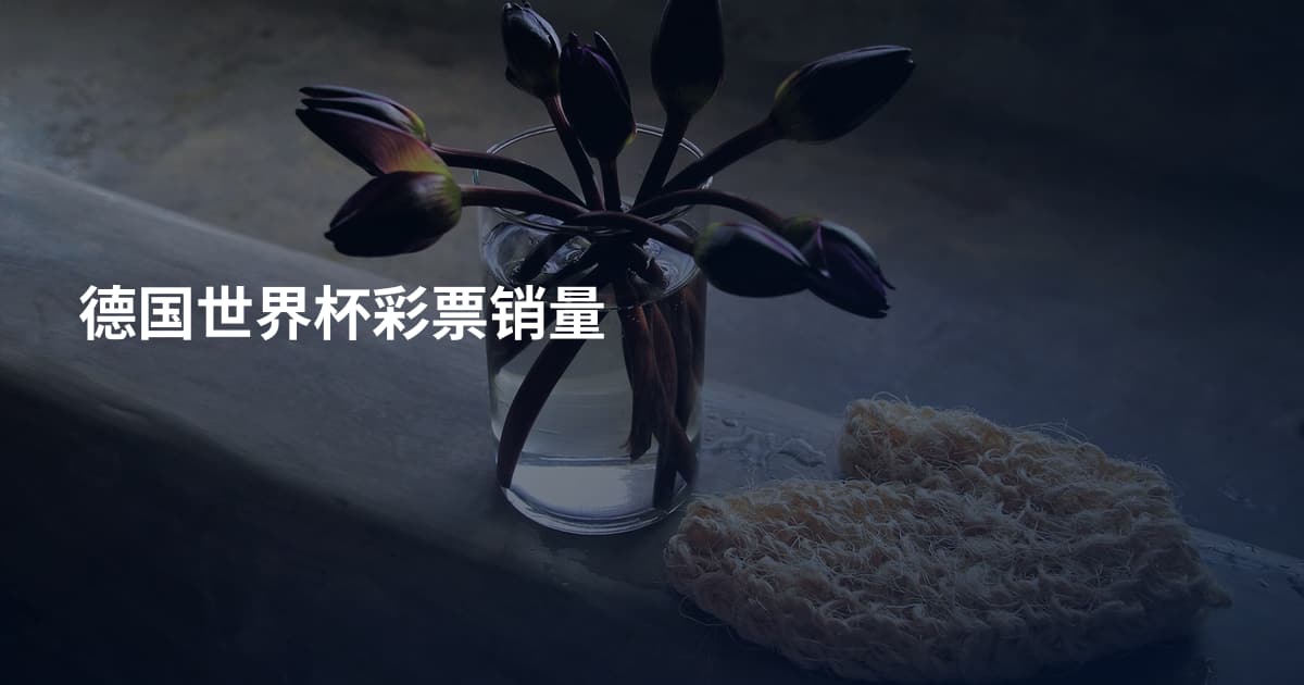 德国世界杯彩票销量