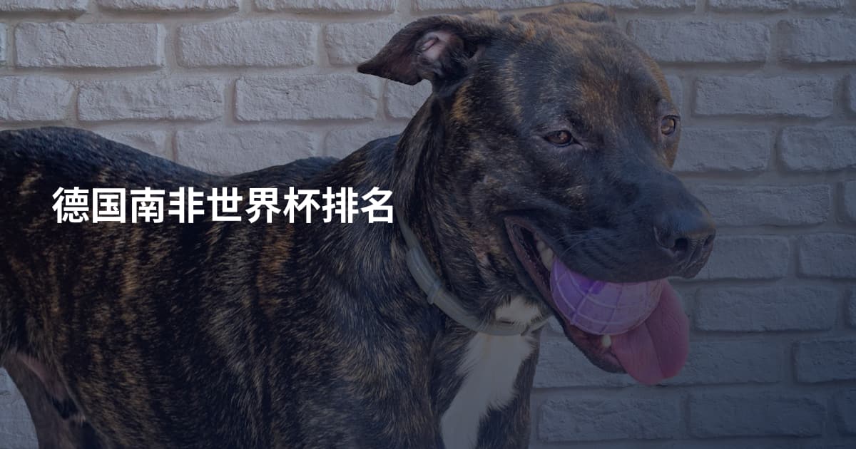 德国南非世界杯排名