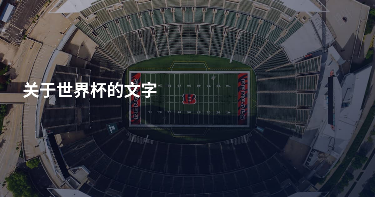 关于世界杯的文字