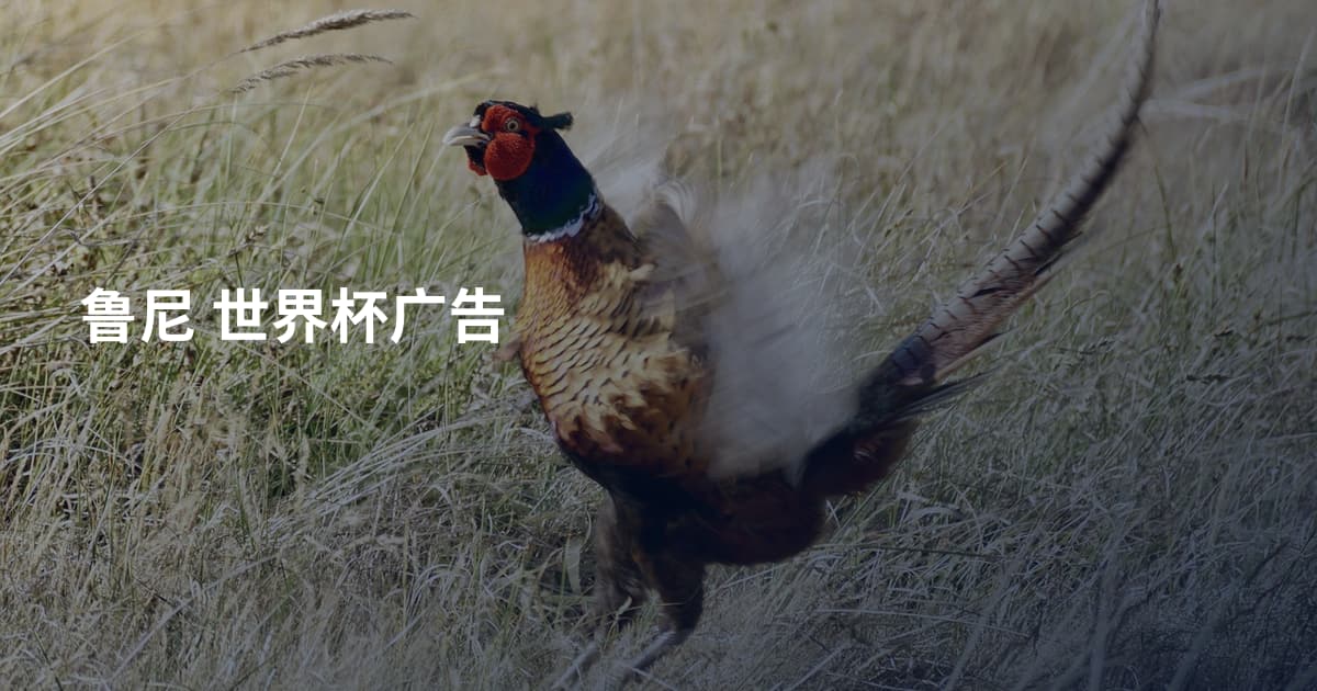 鲁尼 世界杯广告