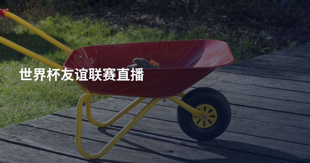 世界杯友谊联赛直播