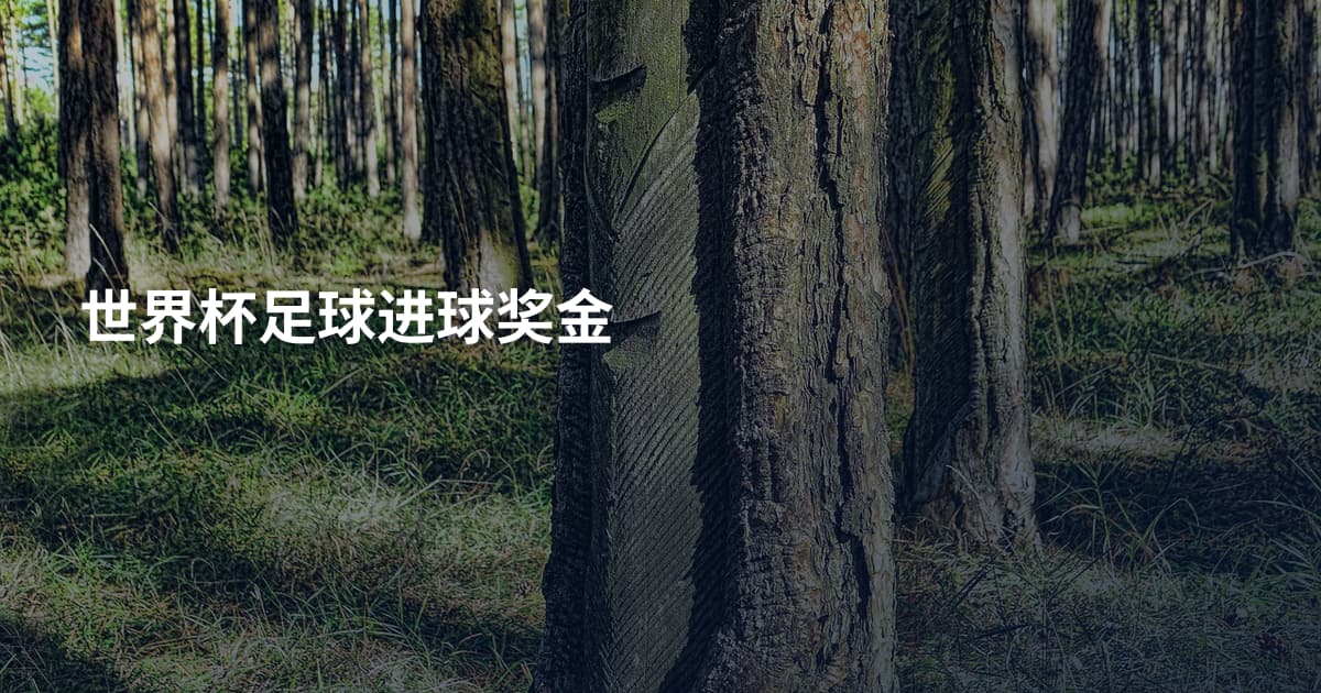 世界杯足球进球奖金