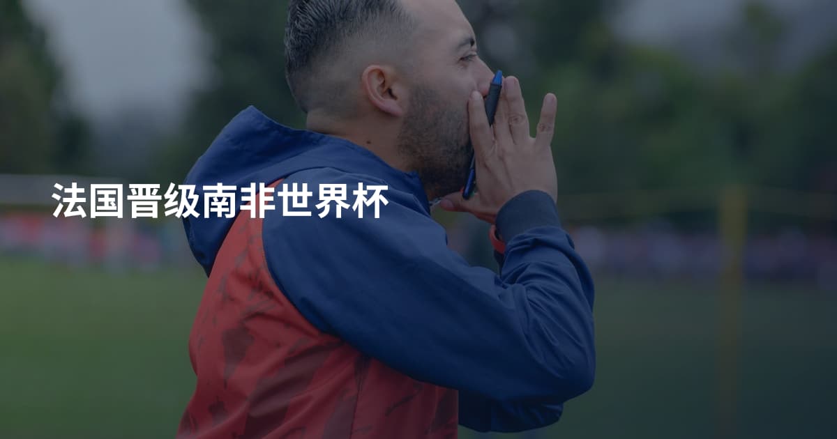 法国晋级南非世界杯
