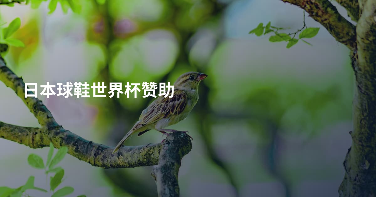 日本球鞋世界杯赞助