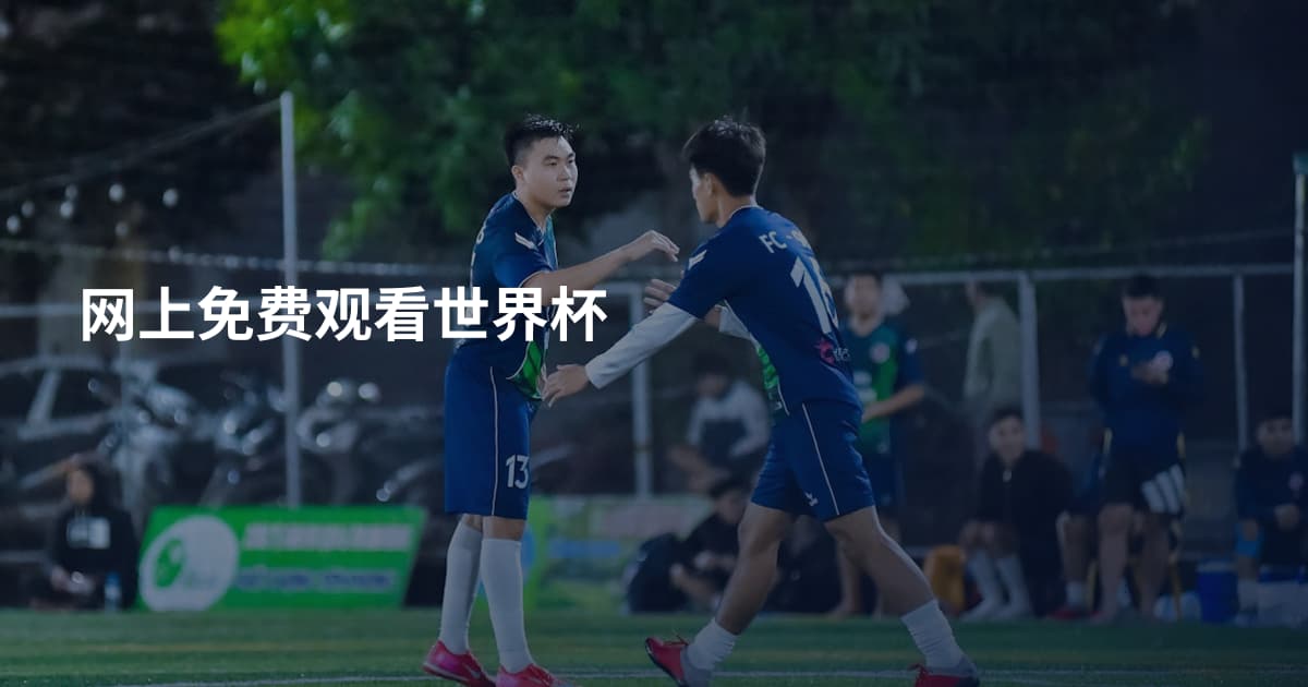 网上免费观看世界杯