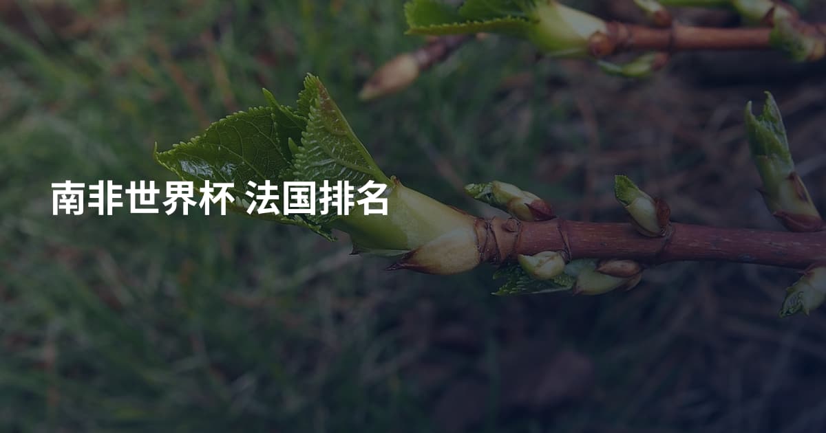 南非世界杯 法国排名