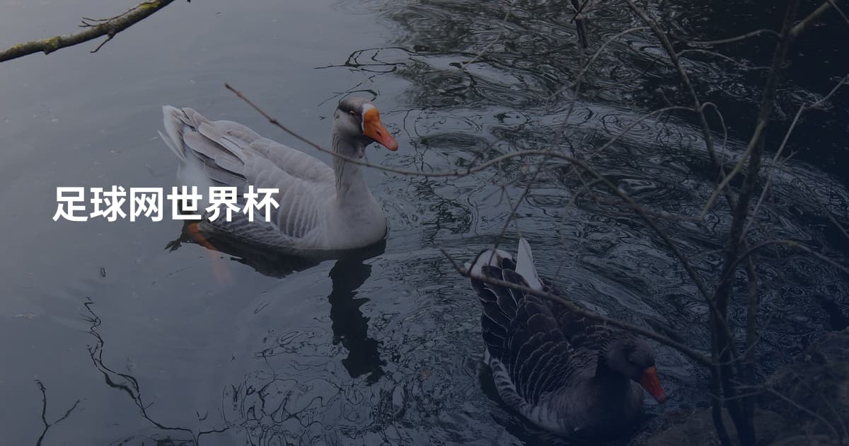 足球网世界杯