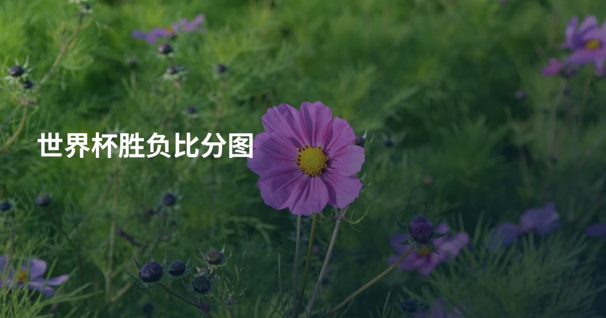 世界杯胜负比分图