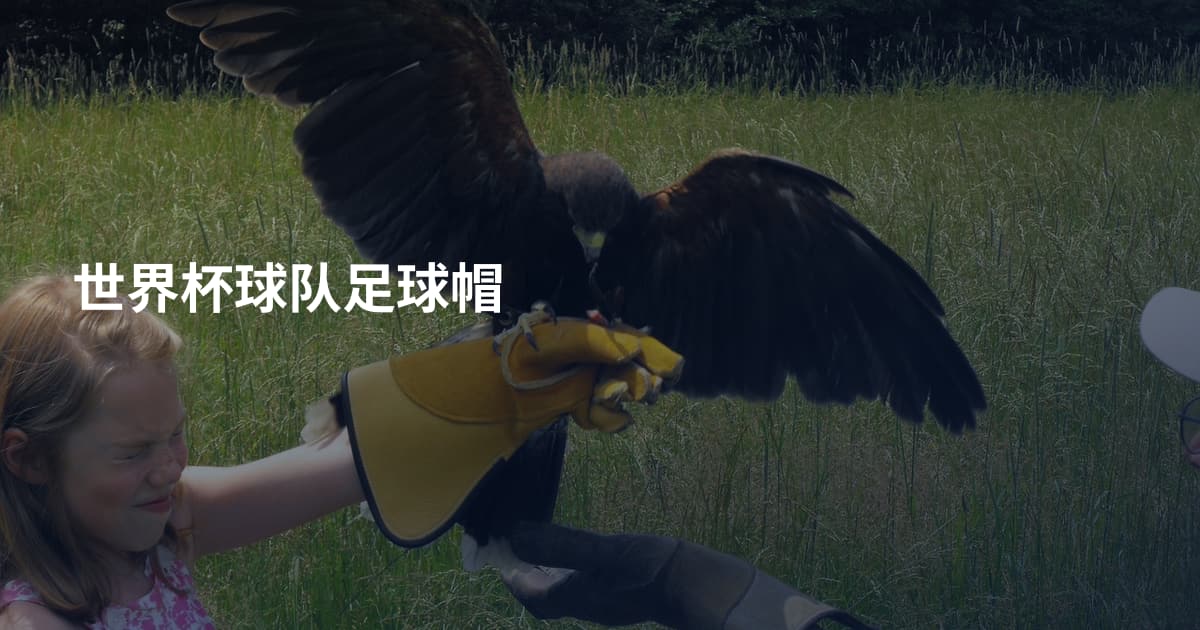 世界杯球队足球帽