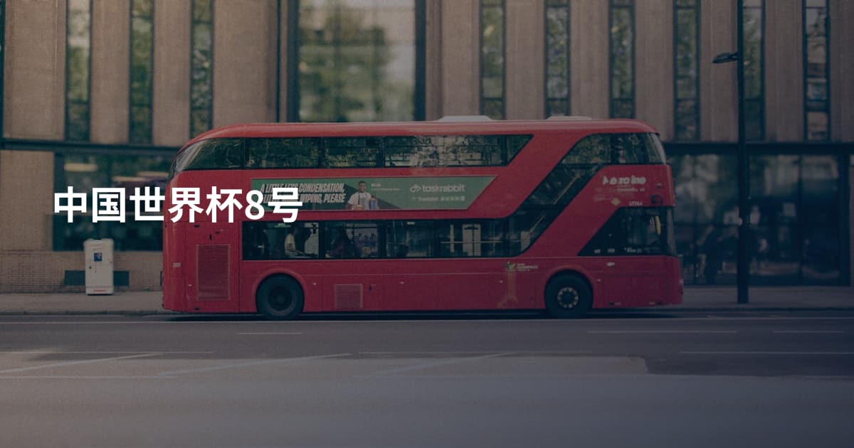 中国世界杯8号