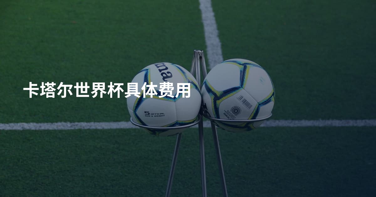 卡塔尔世界杯具体费用