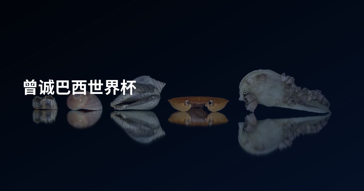 曾诚巴西世界杯