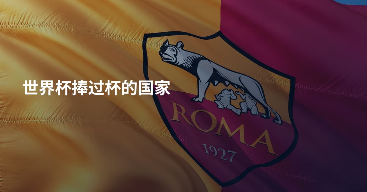 世界杯捧过杯的国家