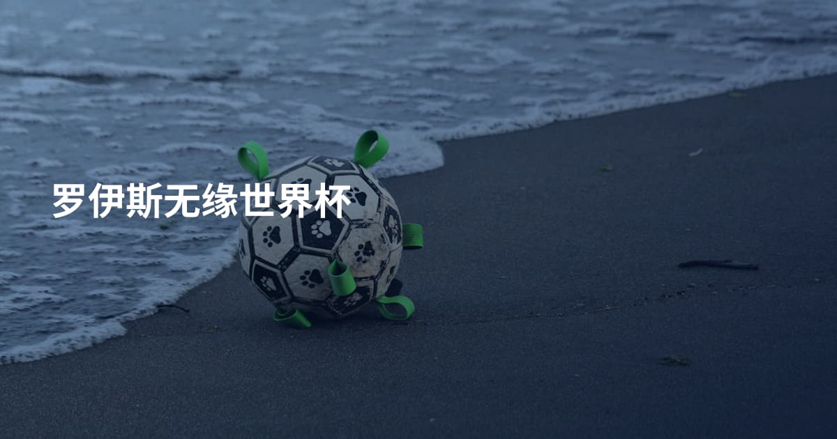 罗伊斯无缘世界杯