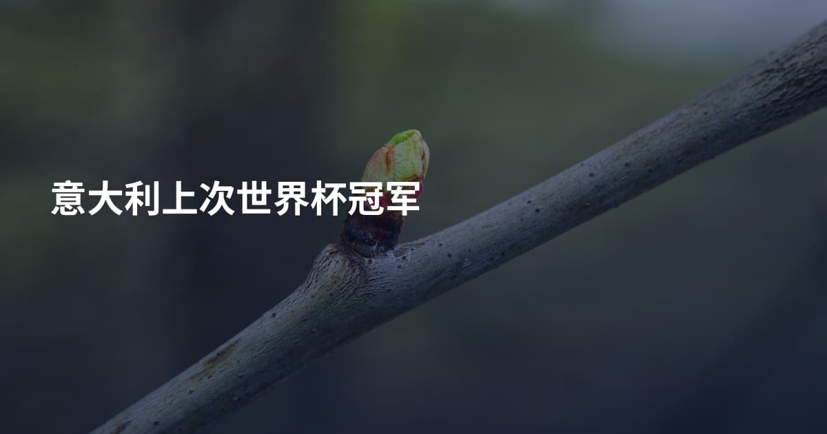 意大利上次世界杯冠军